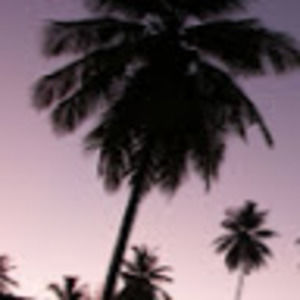 Meet your Posher, Shamy